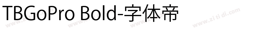 TBGoPro Bold字体转换